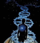 A 12 SZÁLÚ DNS A 12 SZÁLÚ DNS