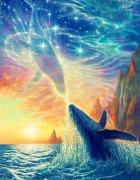 A dimenzióváltás A dimenzióváltás