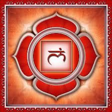 Gyökércsakra Gyökércsakra