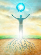 KORONA ÉS GYÖKEREK KORONA ÉS GYÖKEREK