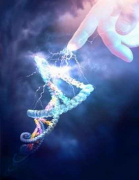 Különleges a Magyar gén Különleges a Magyar gén