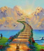 A KUTYÁK SPIRITUÁLIS KÜLDETÉSE A KUTYÁK SPIRITUÁLIS KÜLDETÉSE