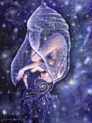 METAMORFÓZIS METAMORFÓZIS