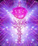 HIT ÉS SZERETET HIT ÉS SZERETET