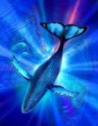 Üzenet a bálnáktól Üzenet a bálnáktól